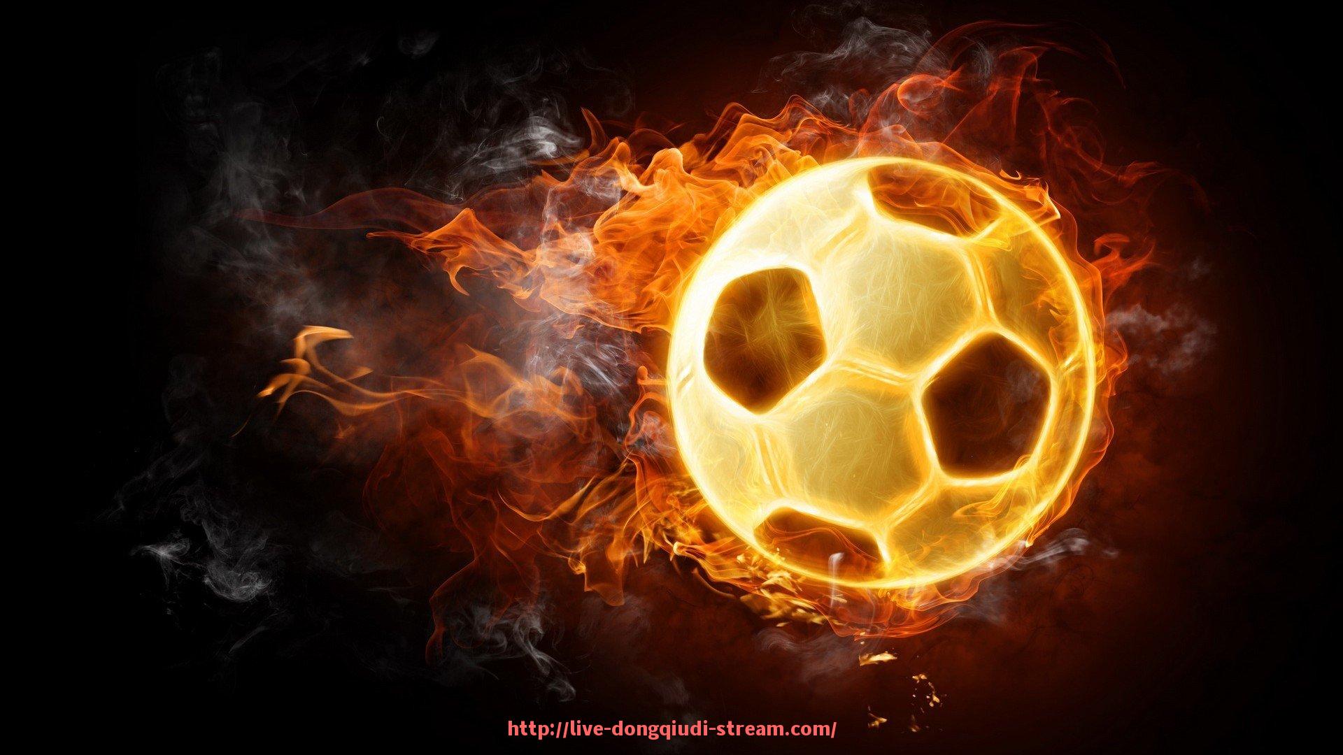 懂球帝直播-世俱杯赛场安保人员职责及工作流程