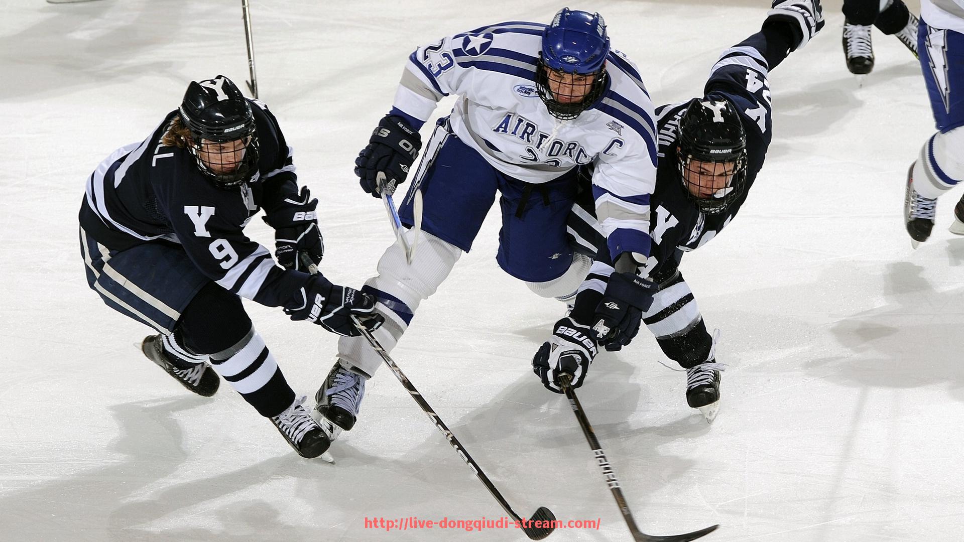 懂球帝直播-健身器材行业专家杨景华介绍及观点分享